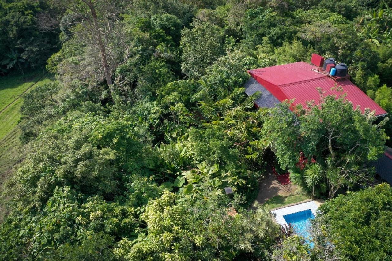 Bed and Breakfast La Boruca San Isidro  Экстерьер фото