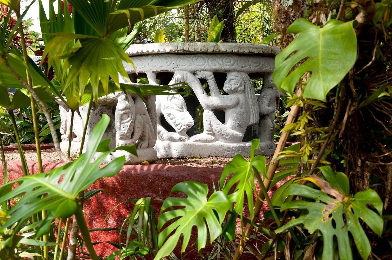 Bed and Breakfast La Boruca San Isidro  Экстерьер фото