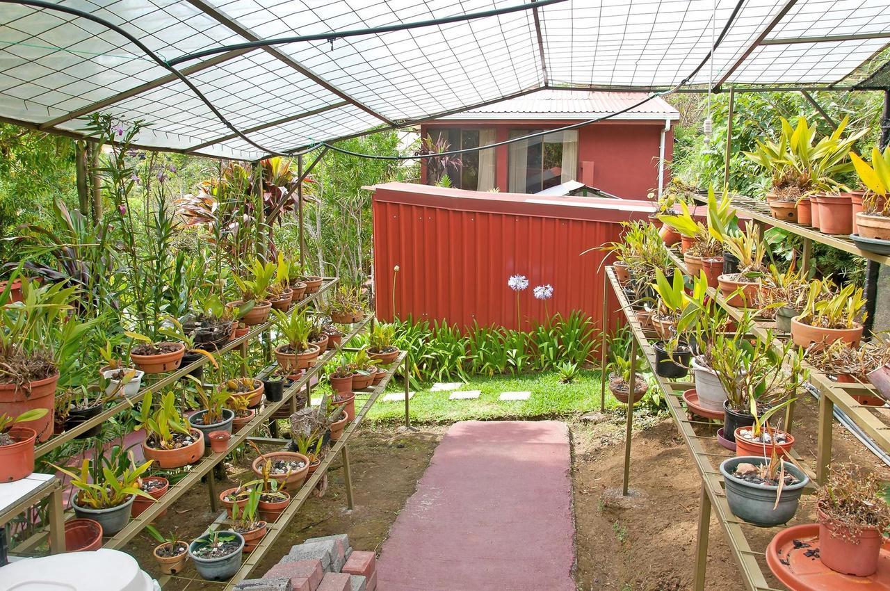 Bed and Breakfast La Boruca San Isidro  Экстерьер фото